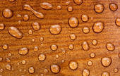Vattendroppar på  trä