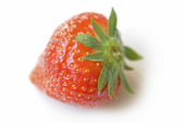 Strawberry isolated in white background 