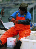 Fiskare, Grönland