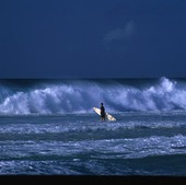 Surfers Hawaii, USA