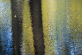 Vattenspegel med höstfärger