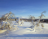 Winter Landscape, Finland