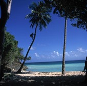 Bakari Island, Dominican Republic