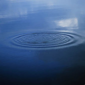 Rings on the water surface