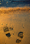 Fotspår på sandstrand