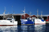 Fiskebåtar i Ronneby hamn, Blekinge