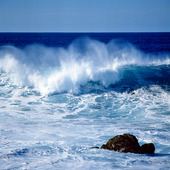 Havsvågor