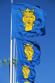 Stockholm city flag