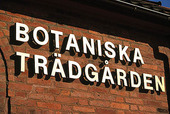 Botaniska Trädgården, Göteborg