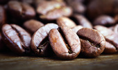 macro shot of coffee bean