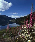 Naturlandskap, Norge