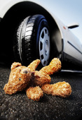 teddy bear in front of a car