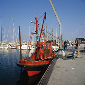 Hamnen i Skanör, Skåne