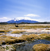 Landskap i Chile
