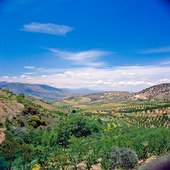 Landskap i Aragon, Spanien