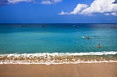 Strand In Martinique