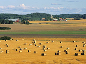 Jordbrukslandskap, Östergötland
