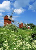 Windmills, Öland