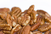 Pecan nuts isolated