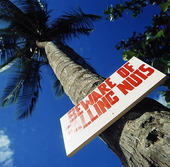 Varningsskylt på kokospalm, Tobago