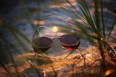 Wine glasses in the dunes