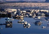 Glaciär på Island