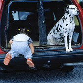 Barn och hund i bil