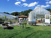 Ulvesunds växthus, Bohuslän