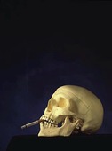 Kranium med cigarett