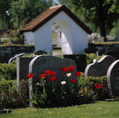 Kyrkogård