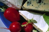 Cheese and radishes