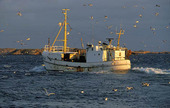 Fiskebåt, Bohuslän
