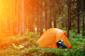 Campingtält i skogen