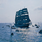Tall Ships Race