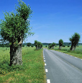 Road, Skåne
