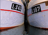 Fiskebåtar, Danmark