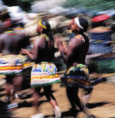 Dumazulustammen dansar, Sydafrika