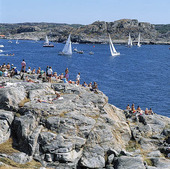 Regatta on Marstrand, Bohuslän