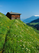 Stuga i alperna, Österrike