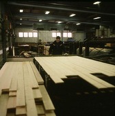 Wood