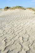 Sanddyner på Römö, Danmark