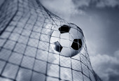 Soccer in the net