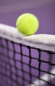 Tennisboll, en nätrullare