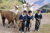 Indianbarn med lamadjur, Peru