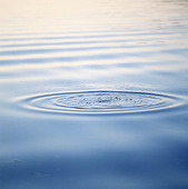 Rings on the water surface