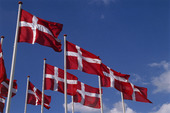 Danska flaggor