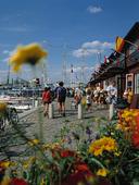 Little Bommen, Gothenburg port