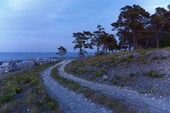 Kalkstensväg på Gotland