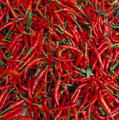 Röd peperoni