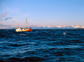 Båt vid Lofoten, Norge